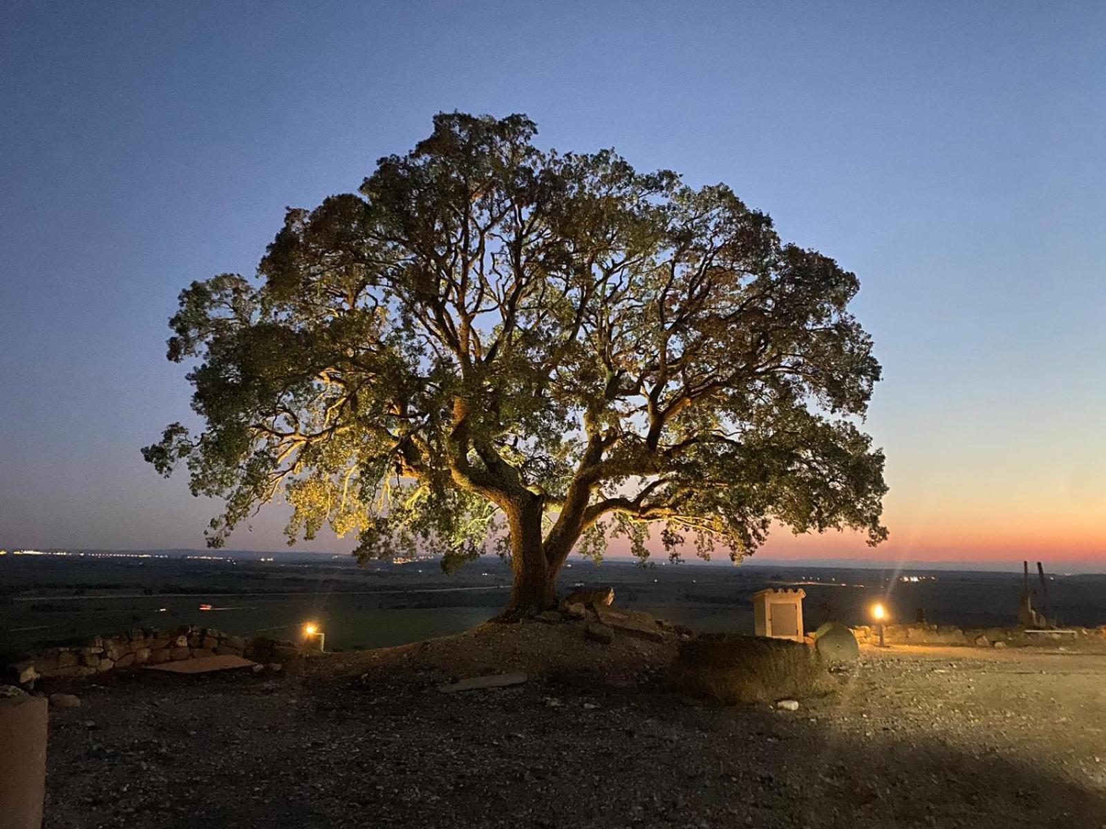 Masia De Queralt Luxury Casa Rural Spa Y Vistas Concabella Екстериор снимка