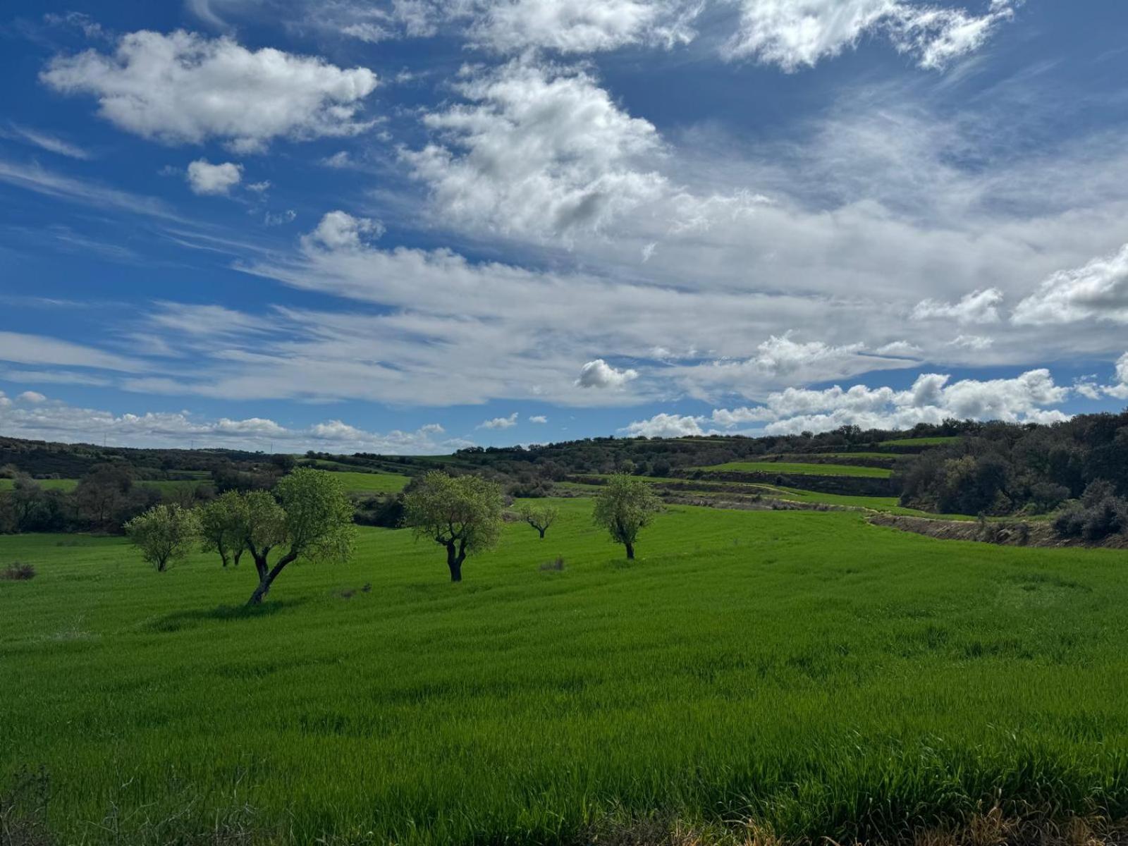 Masia De Queralt Luxury Casa Rural Spa Y Vistas Concabella Екстериор снимка